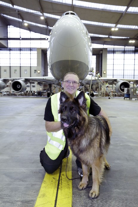Bettwanzen-Spürhund Cora mit Larry vorm Flieger Larry mit Cora dem Bettwanzenspürhund vor eienm Flugzeug